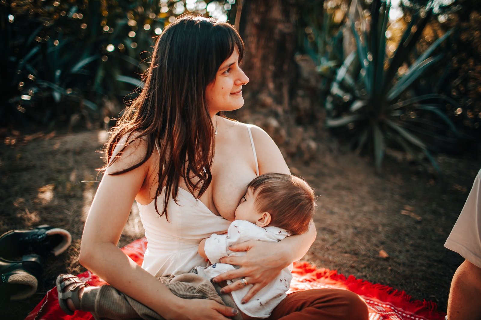 Medela Calma tetina review 2026: lactancia materna sin confusión